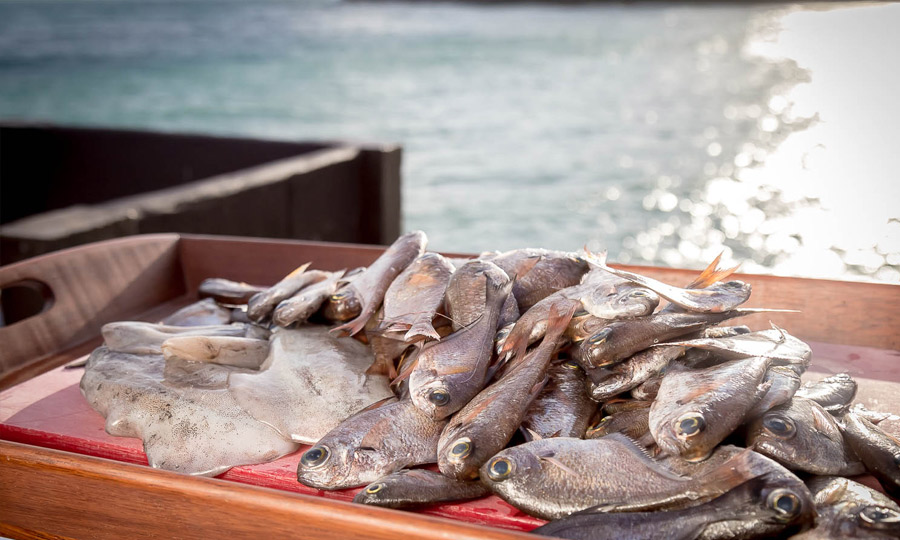 Phuket Private Fishing & Live Cooking